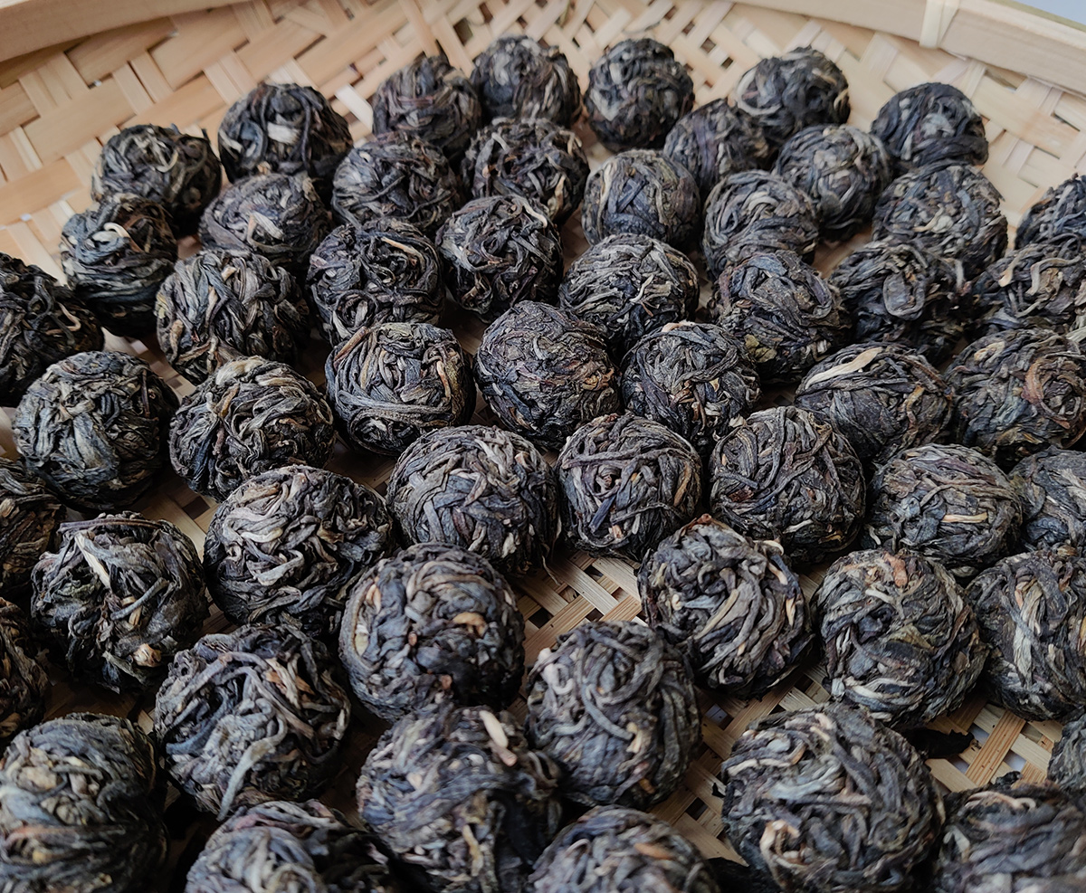 【晴晴源头】2021年勐海古树龙珠！起底5颗！多一个人拍多加5颗！