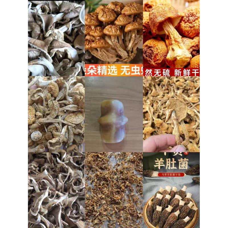 FD68- 【胡古】高端品质   香菇菌子   现收山货