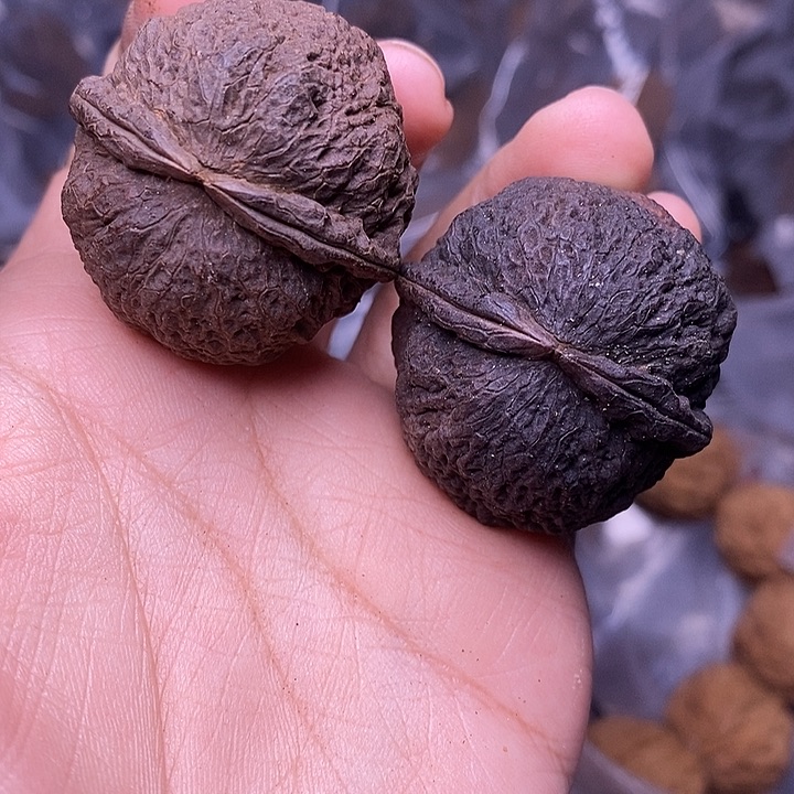 文玩核桃把件  199