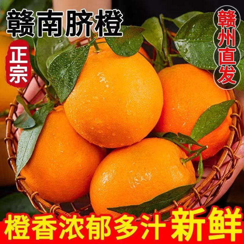 【赣州发货】正宗赣南脐橙新鲜水果皮薄多汁会昌直发老树坏果包赔