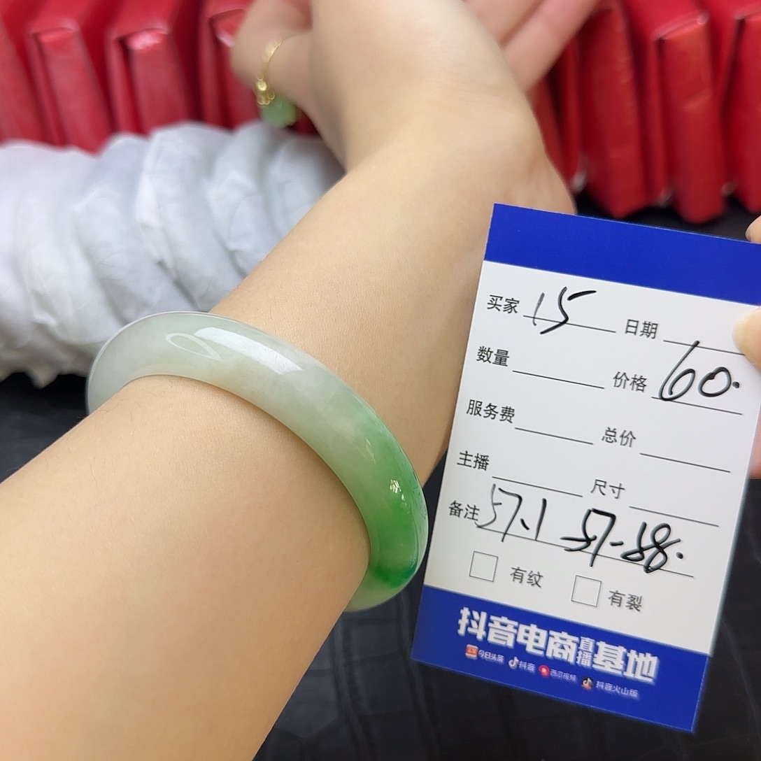 未镶嵌手镯翡翠15