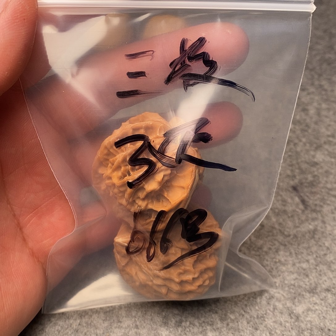 文玩核桃把件三棱