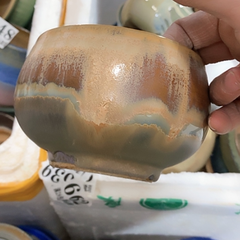 【闪购商品】红陶口10