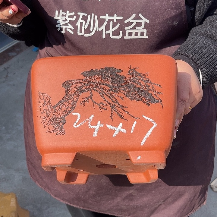 紫砂花盆紫色的小