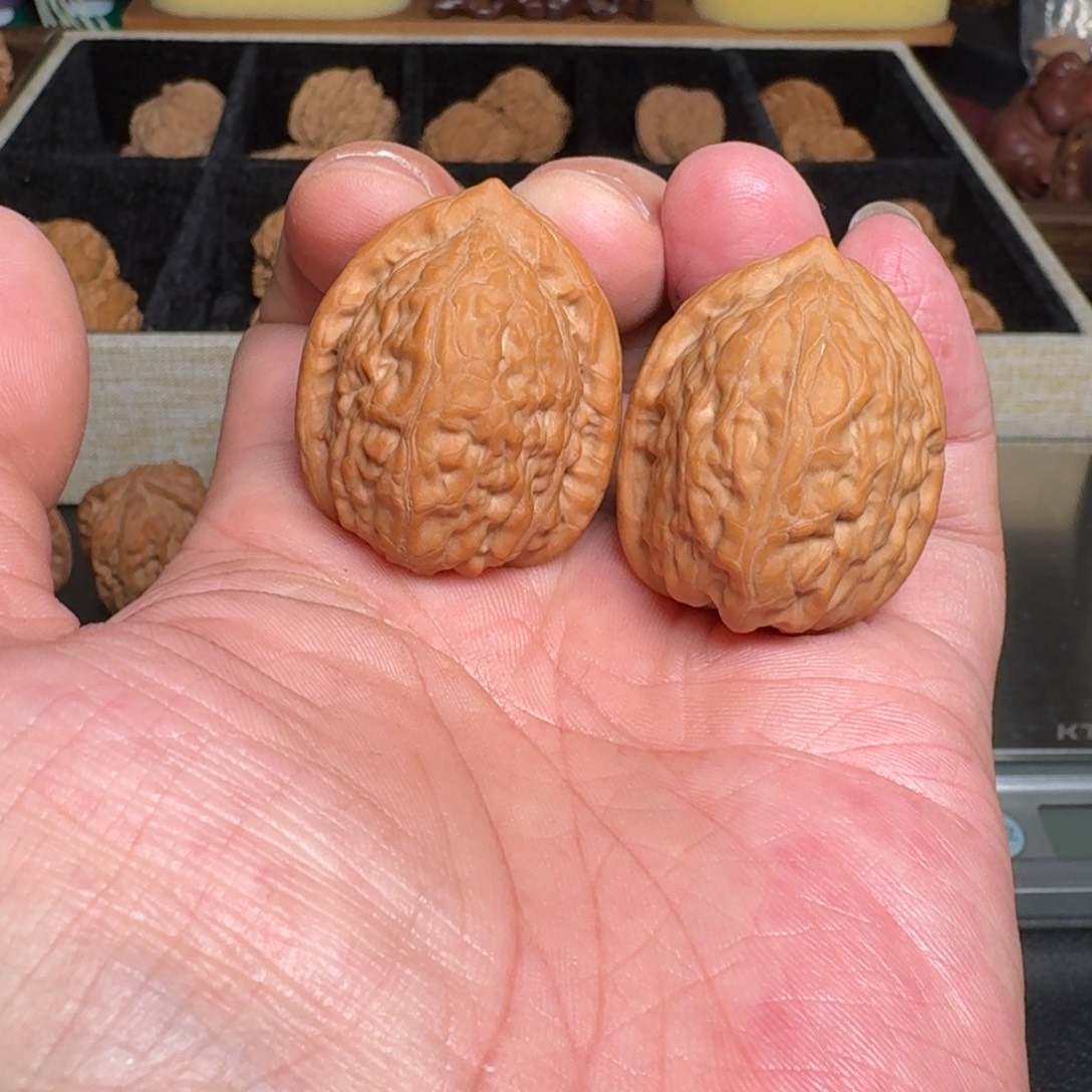 文玩核桃把件全品舍利子 尺寸35