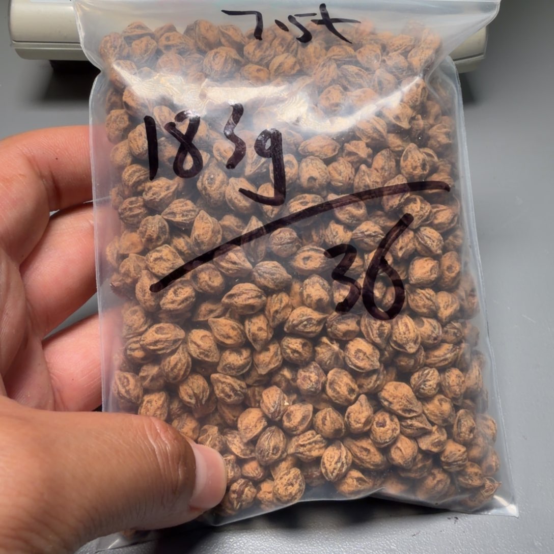 吊坠柏香籽/百香籽辉