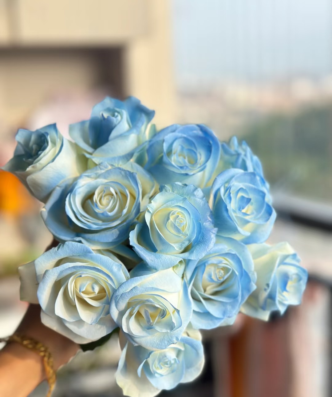 32方德喷色碎冰蓝10支+吸色午夜蓝小菊3支吸色紫色单瓣紫罗兰一把