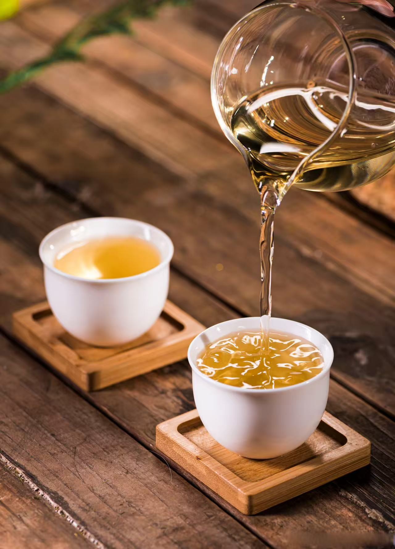 2023年绿大树  普洱茶生茶通用链接400g（实物请以直播间为准）