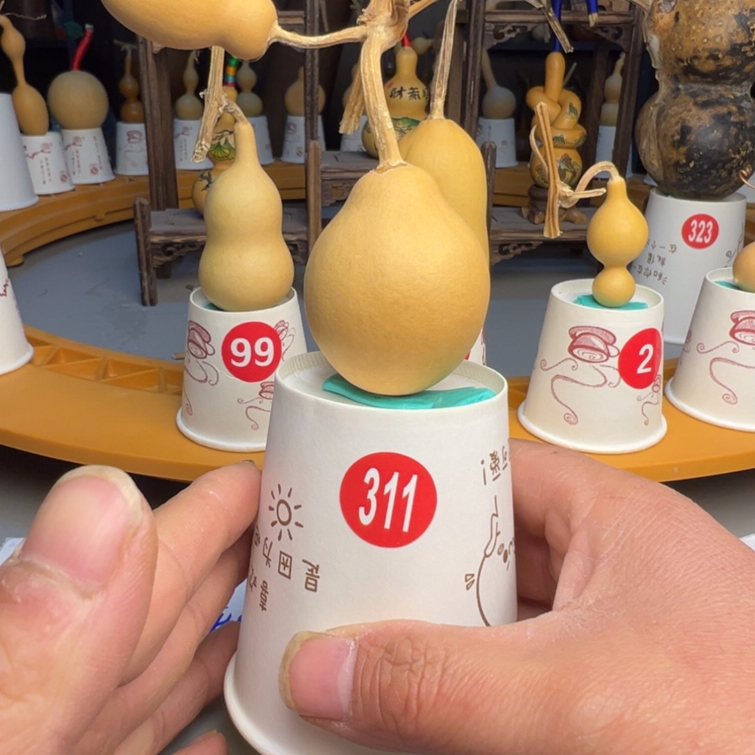 闪电购自助下单编号311