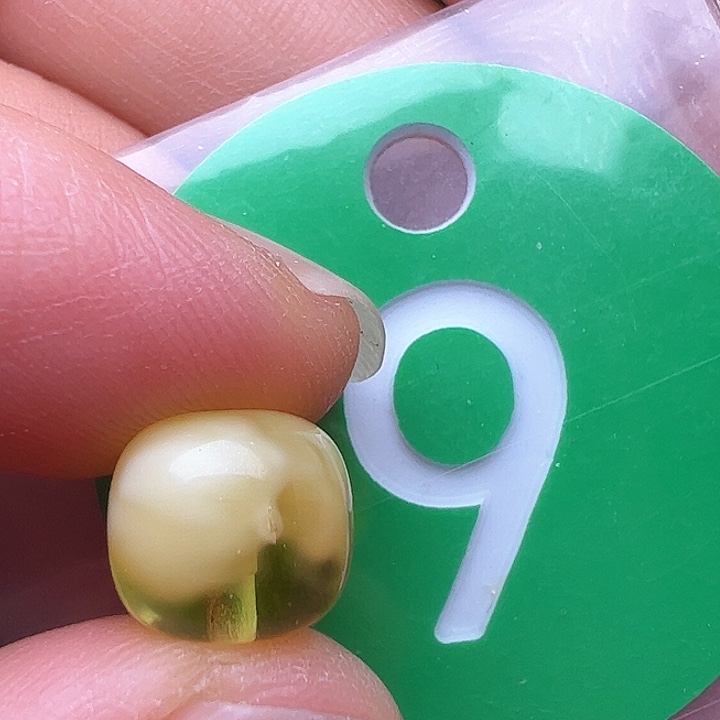 蜜蜡裸石未镶嵌划痕9.5m m