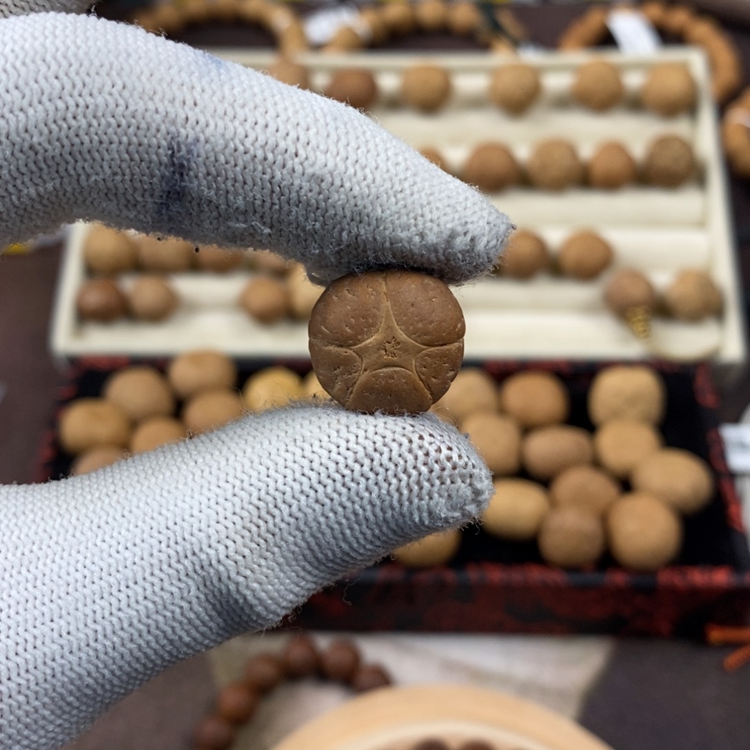 凤眼菩提吊坠16.5五星单颗