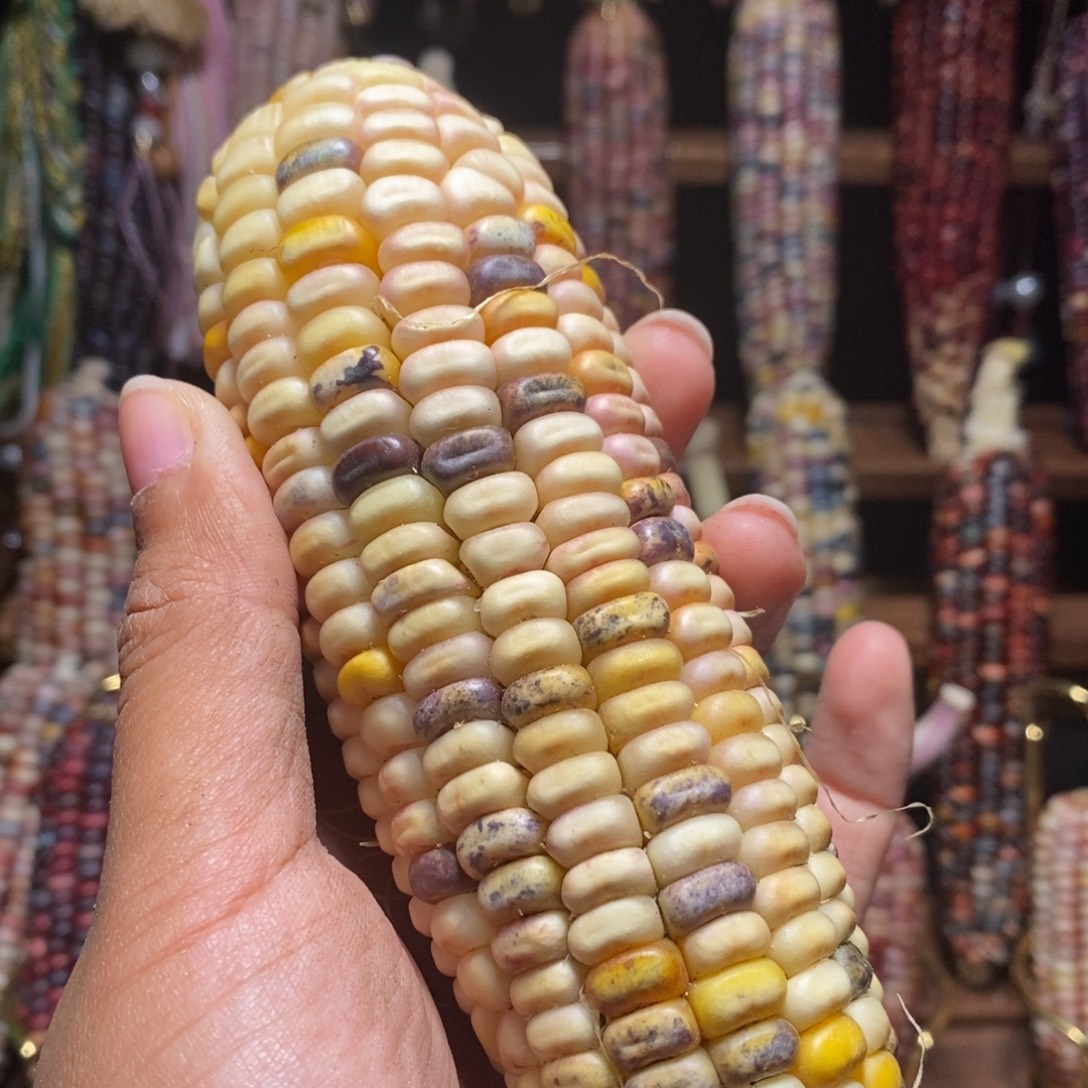 吊坠文玩核桃文玩玉米280