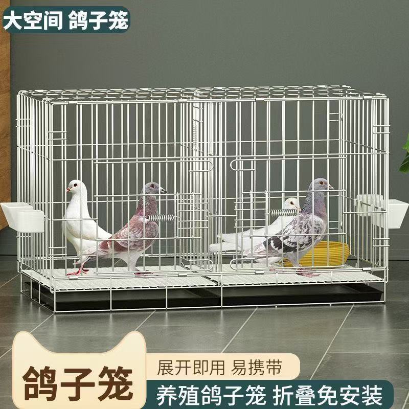 鸽子笼养殖繁殖笼家用养鸽专用可配对鸽笼