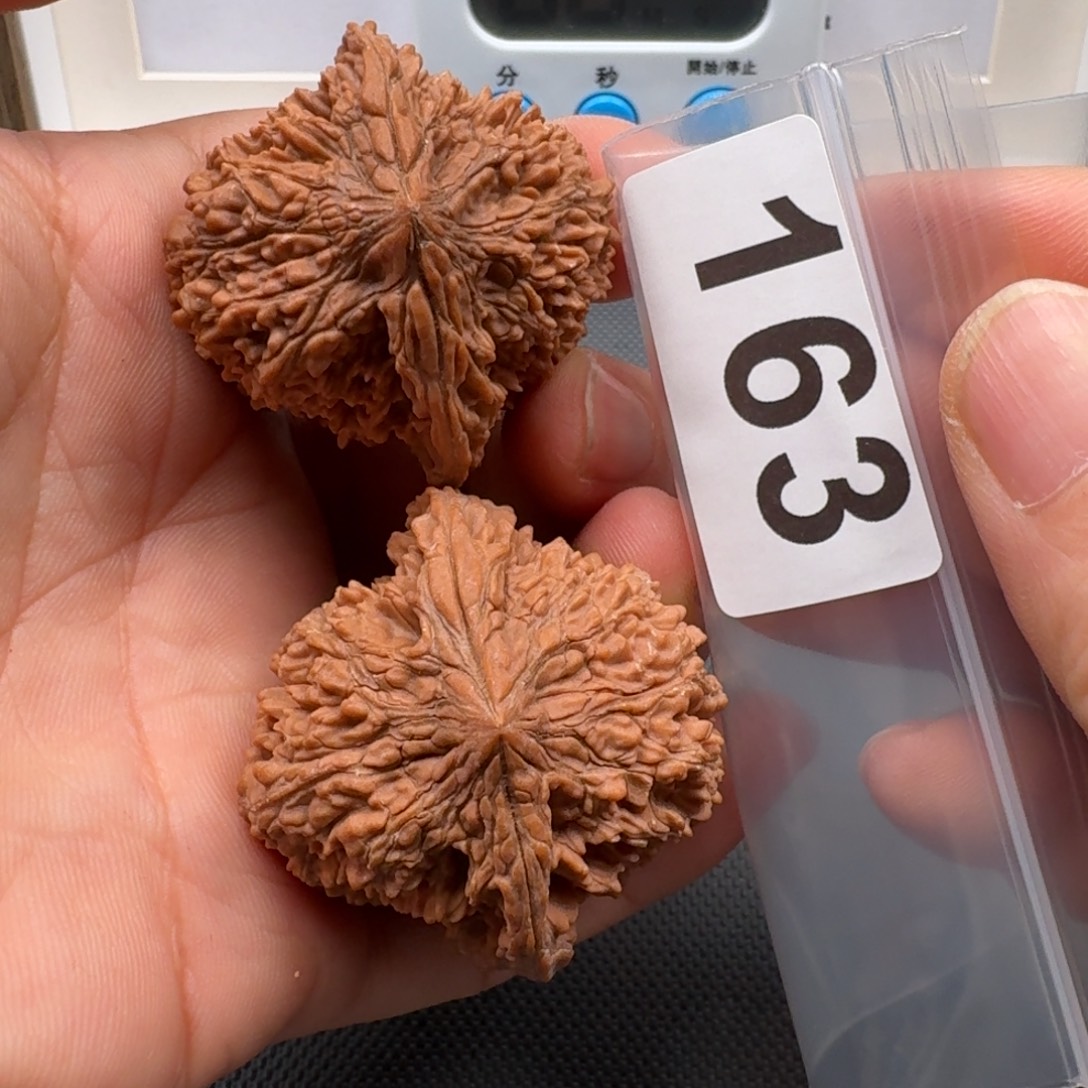 把件文玩核桃满天星43