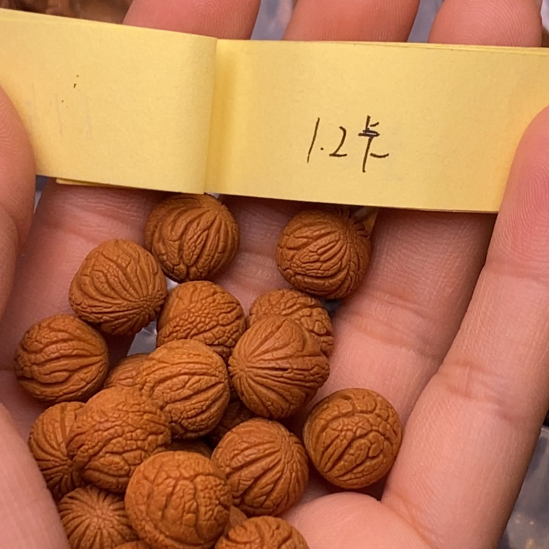 秦岭山脉龙纹桃核 20