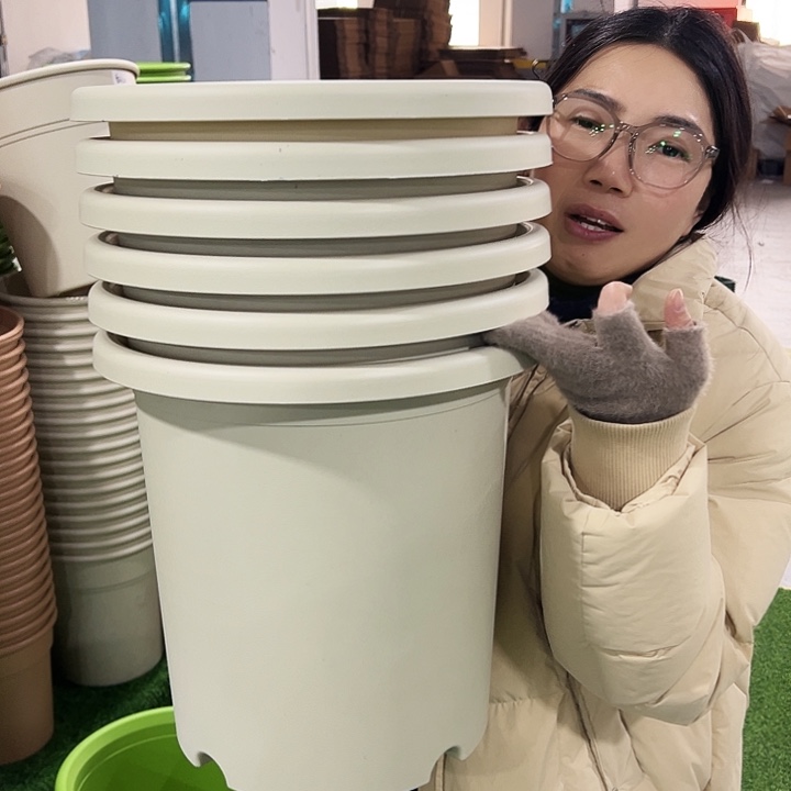 微瑕四季7号口33高33米色无托6只