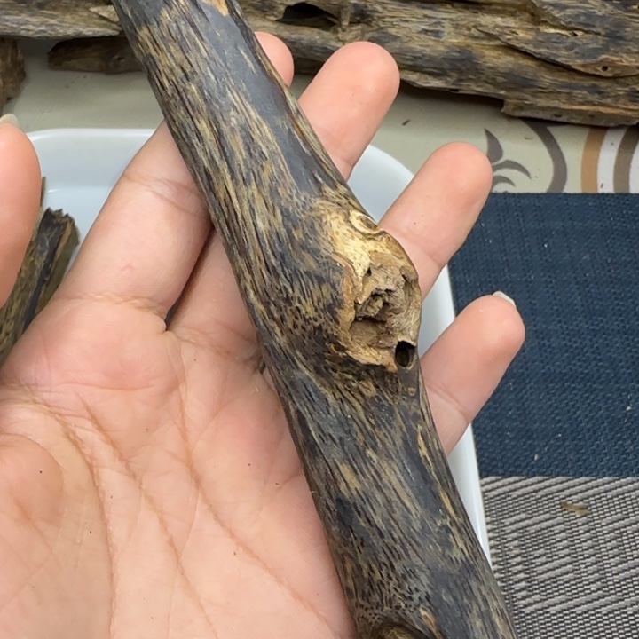 楠木布****叶奇楠树心油虫漏32克