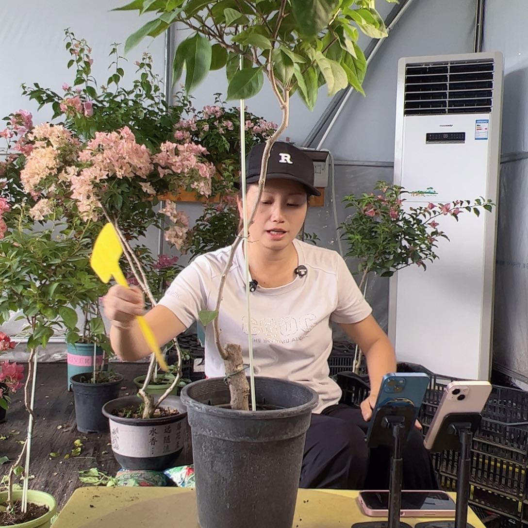 沧***海E56口红棒棒糖