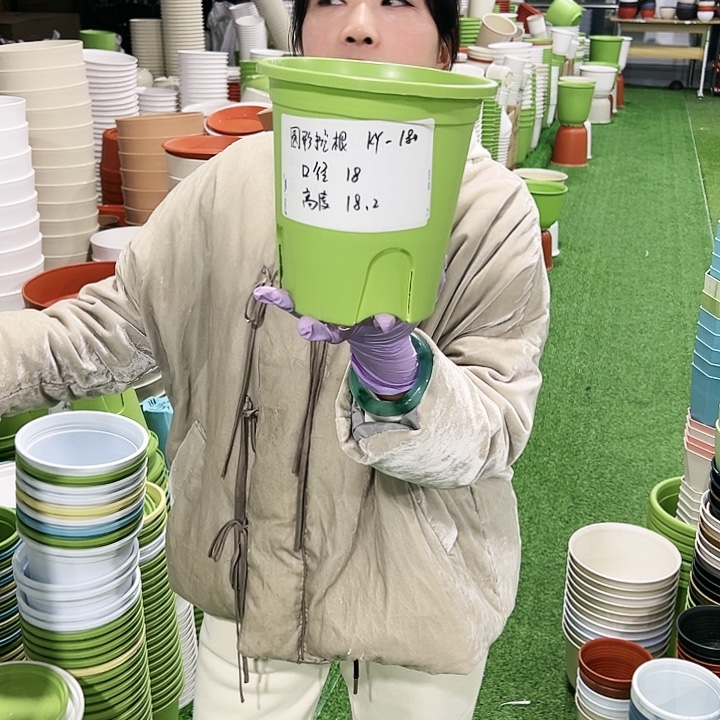 正品圆控口18高18果绿8只无托