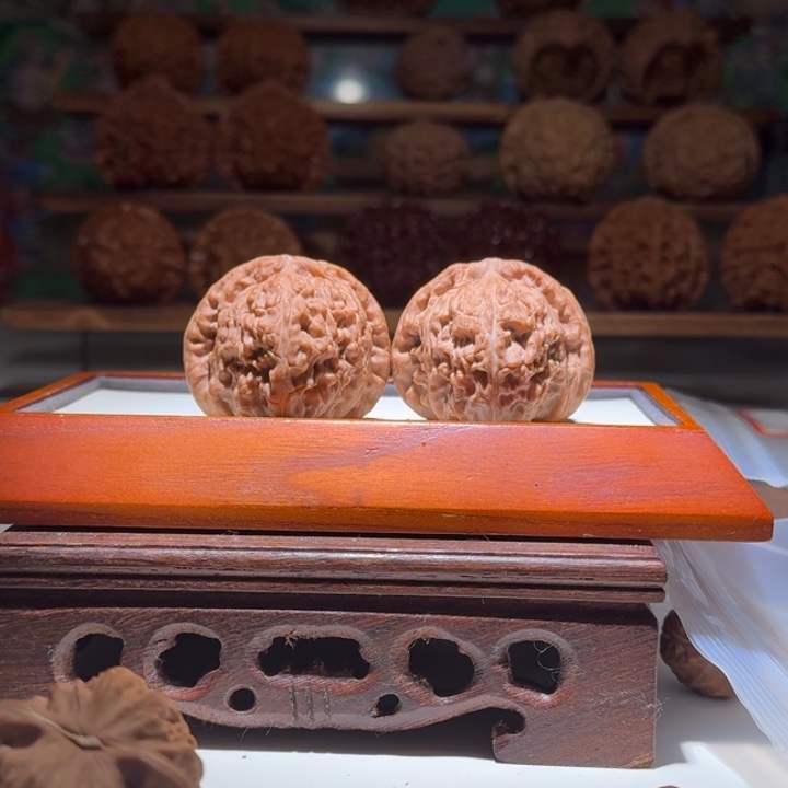 41全品白狮子球白毕业级