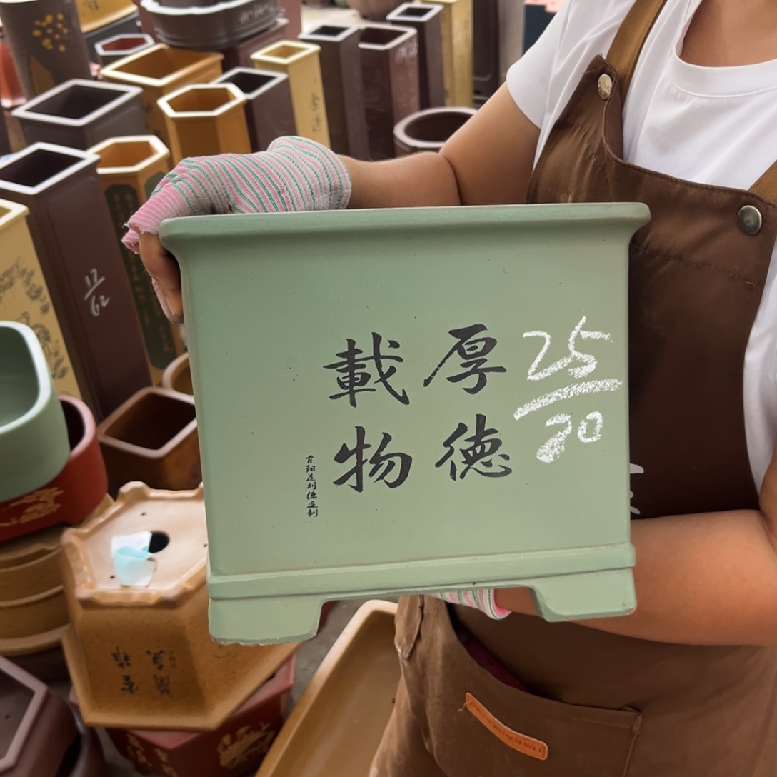 花盆紫砂盆景艺术