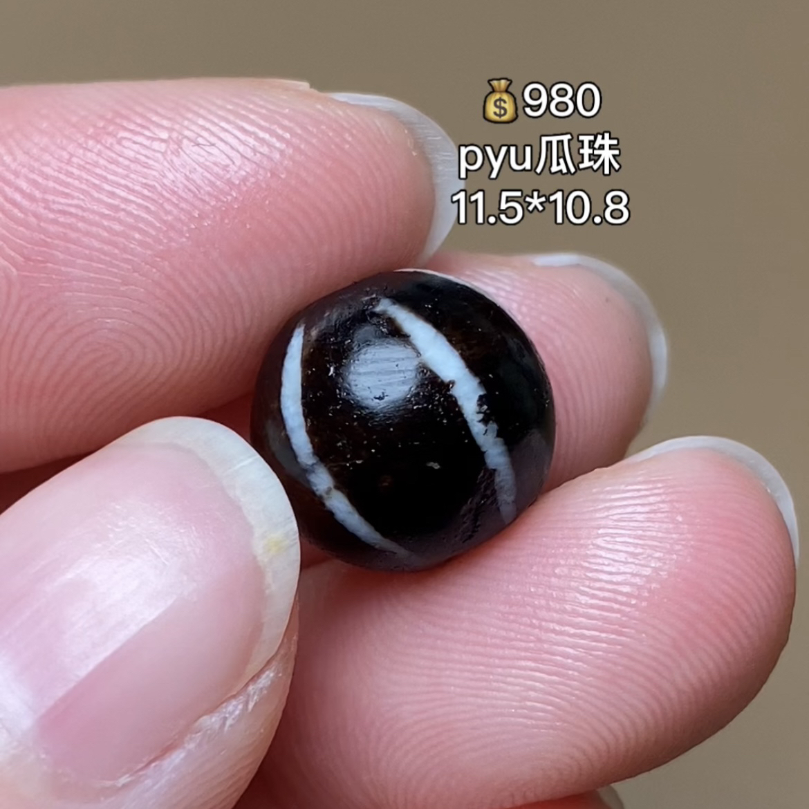 pyu瓜珠 千年古珠 有细节视频找客服