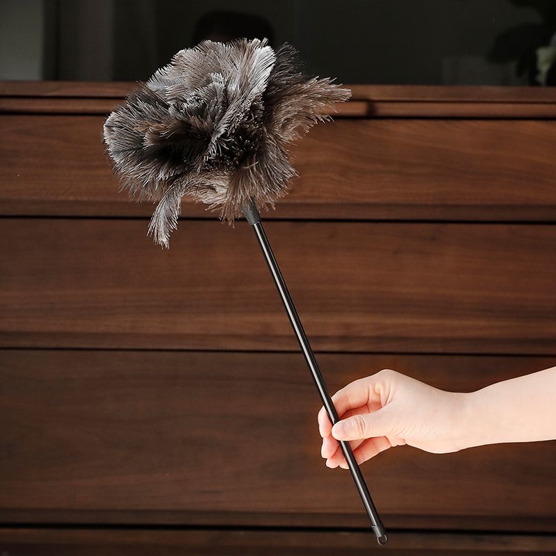 鸵鸟毛掸子鸡毛掸子家庭打扫灰加厚加长家用除尘逗猫鸵鸟毛逗猫棒