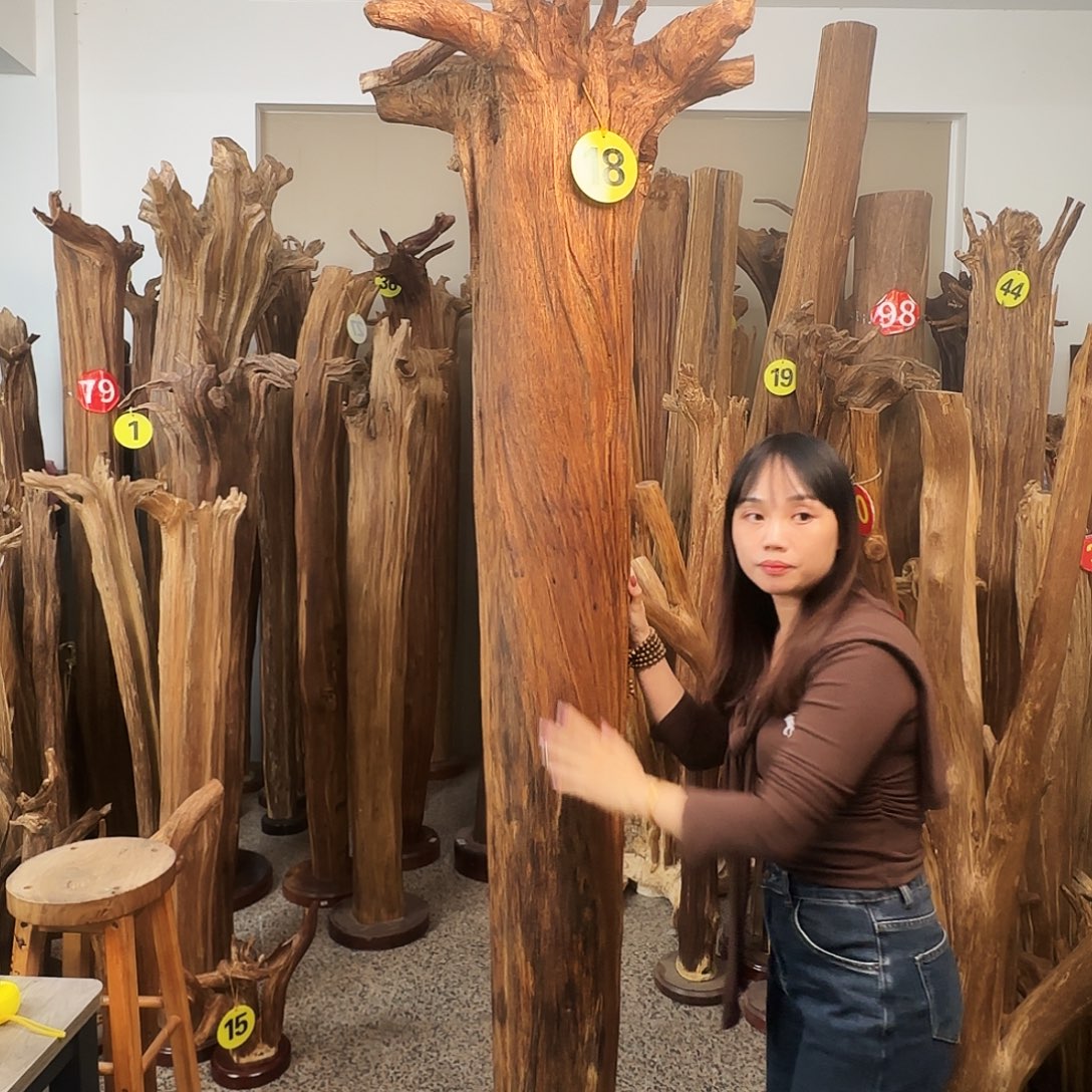 福***蛋沉香碎屑沉香天然沉香原材料香料熏料