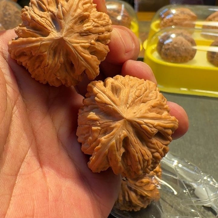 金***司福利福利御龙37三棱