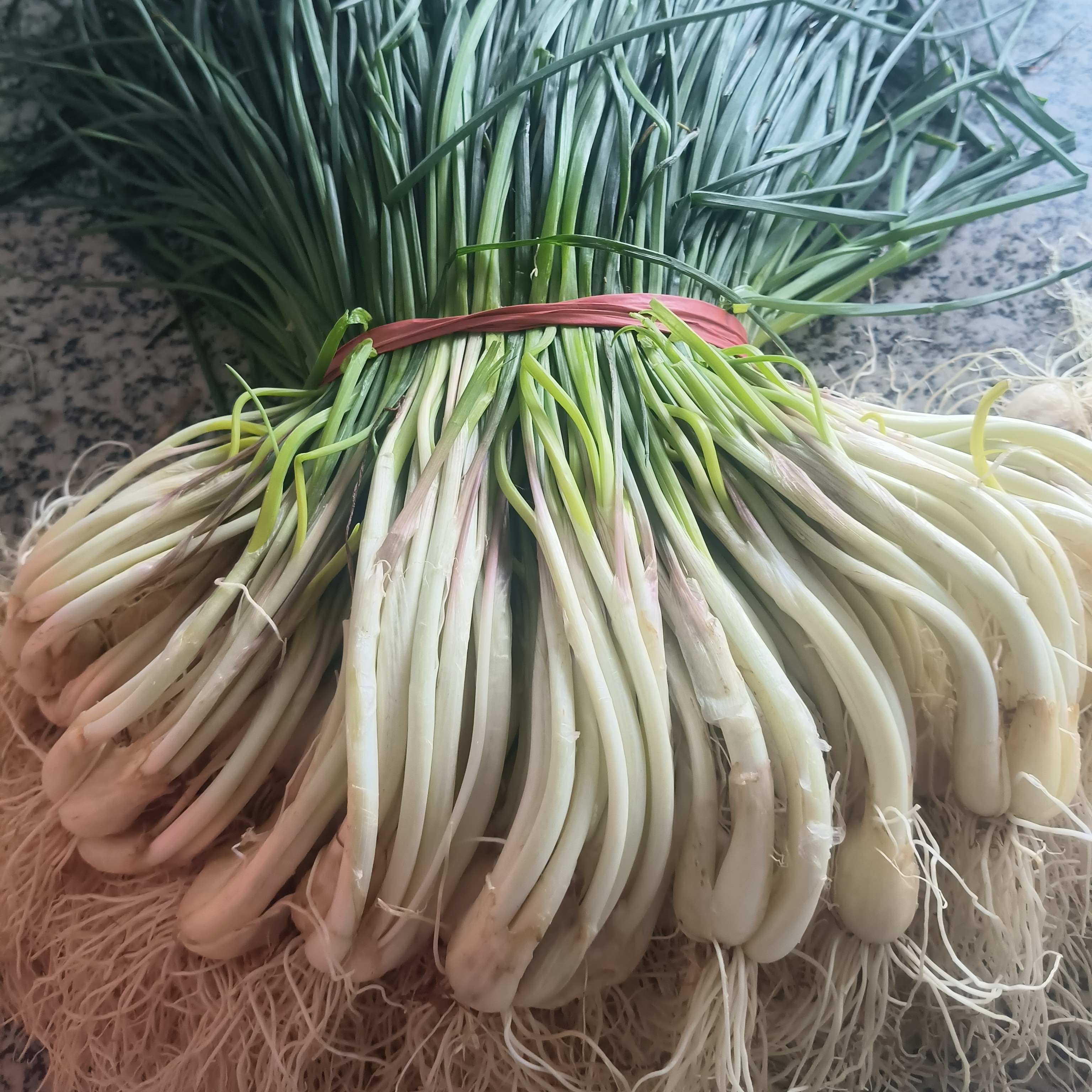 新鲜农家自种高山藠头（带苗口老）现挖现发包邮