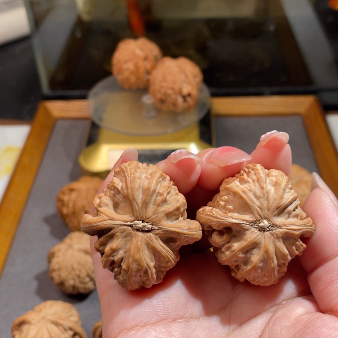 文玩核桃吊坠啾*37白狮子