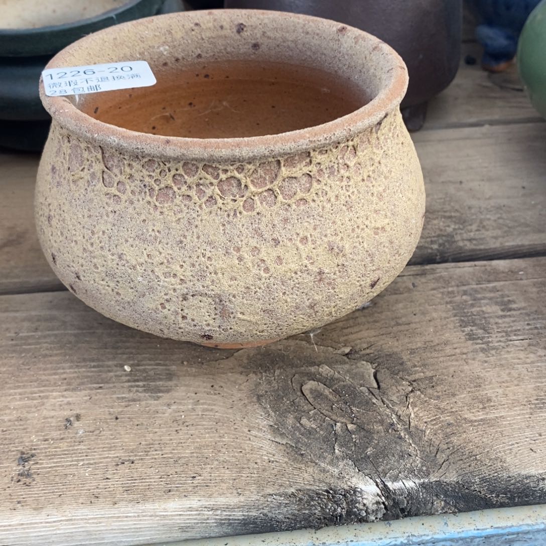 20号多肉盆口径9.5