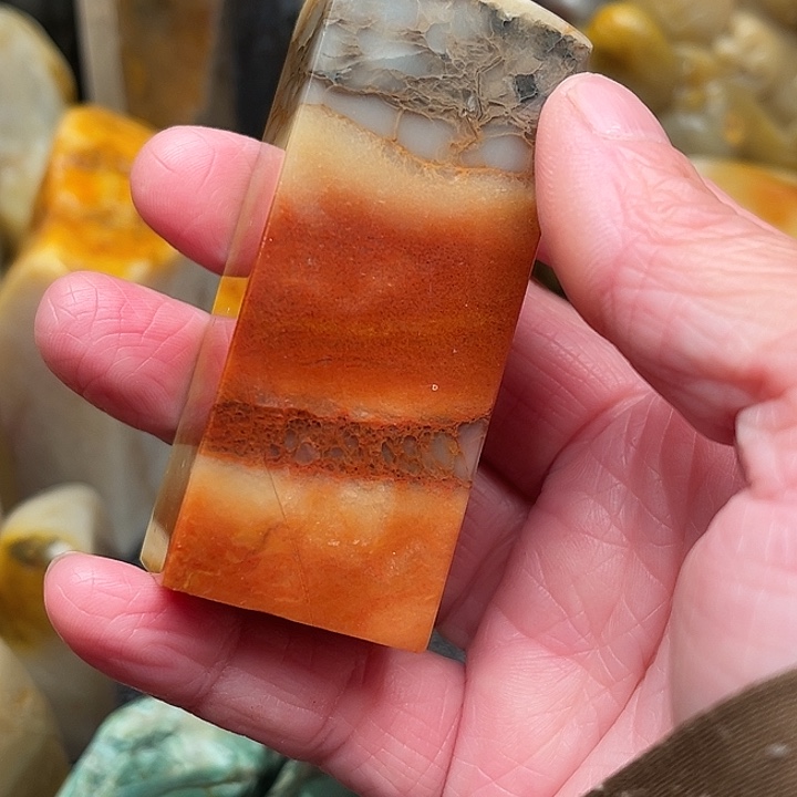 墨***羊昌化石印石畕化石