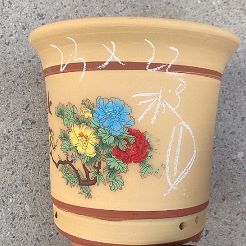 紫砂花盆西沙群岛和菲律宾