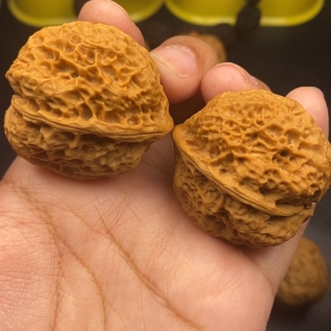 文玩核桃把件40尺领头羊