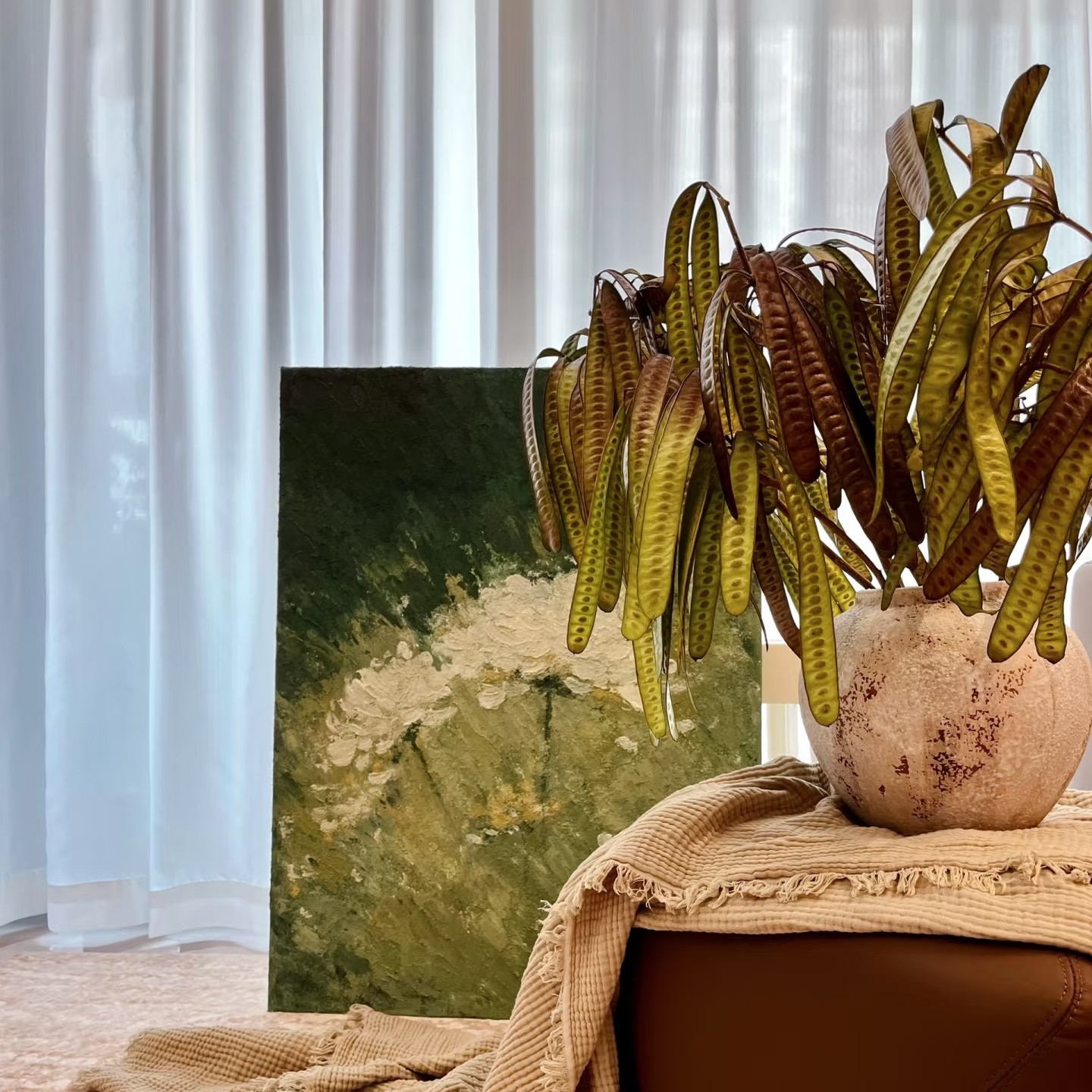 小众氛围感银合欢豆荚扁豆鲜切花材可做干花