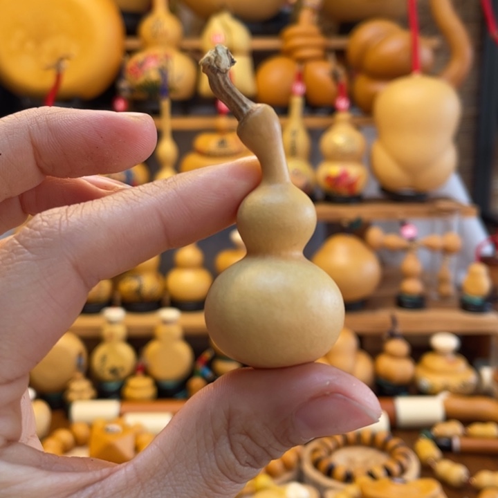 豆*桐天然葫芦自然生长豆豆