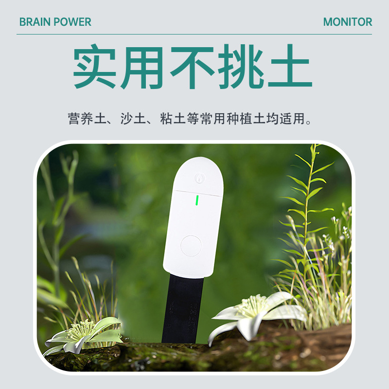 智能水分计花草检测仪养花种菜控制水分植物测量检测土壤湿度计