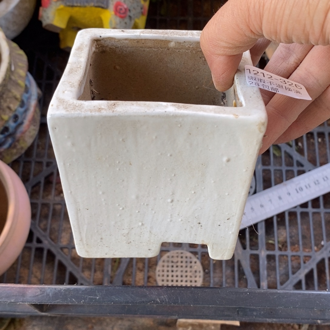 326号多肉盆口径7