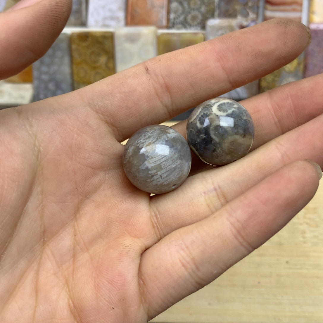 &***古硅化珊瑚（珊瑚玉）未镶嵌珠宝奇石