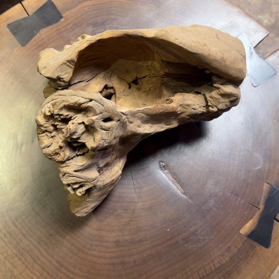 壹***）铁栎木111111111111