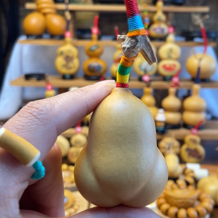 蓝*晨天然葫芦自然生长蓝