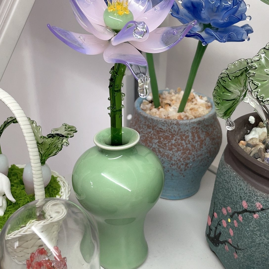 茶宠在这条路里的我很喜欢