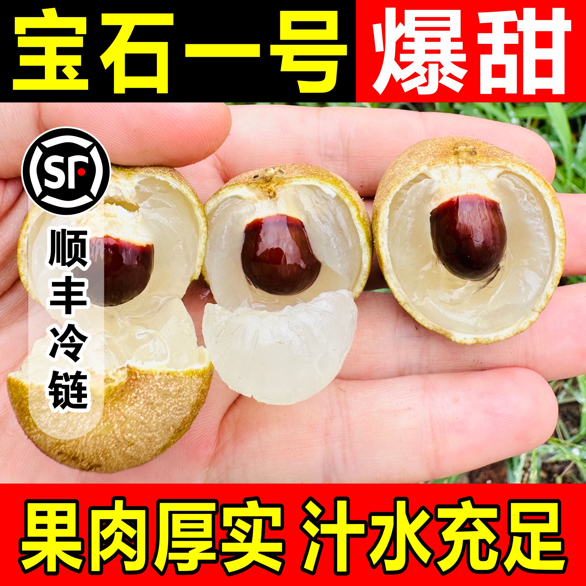（川渝外京东）泸州桂圆百年老树正宗张坝桂圆石硖龙眼储良新鲜现摘