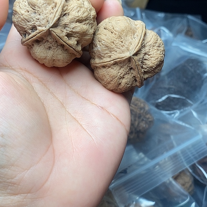 文玩核桃把件      13