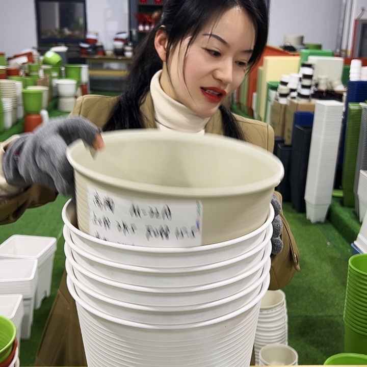 正品高陶口24高24白色无托5个