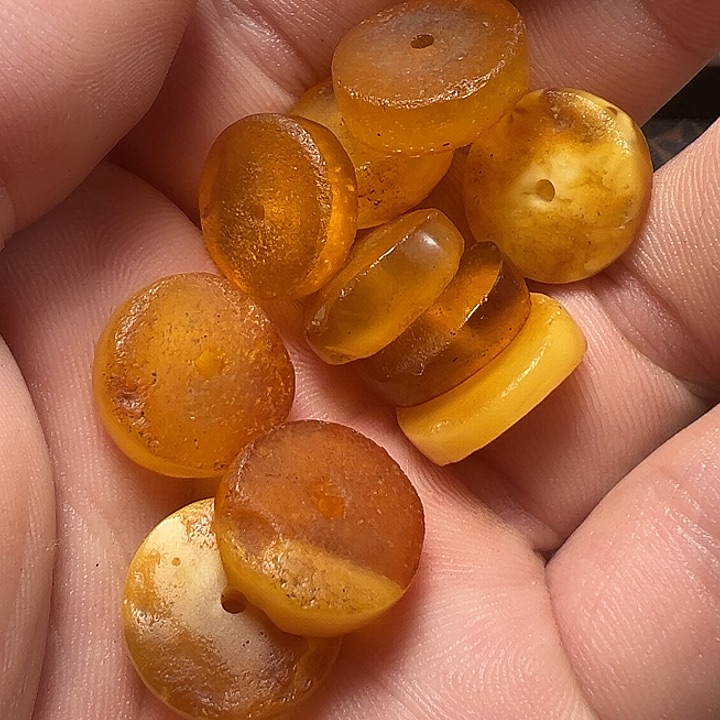 我们都是在这里看到的哈