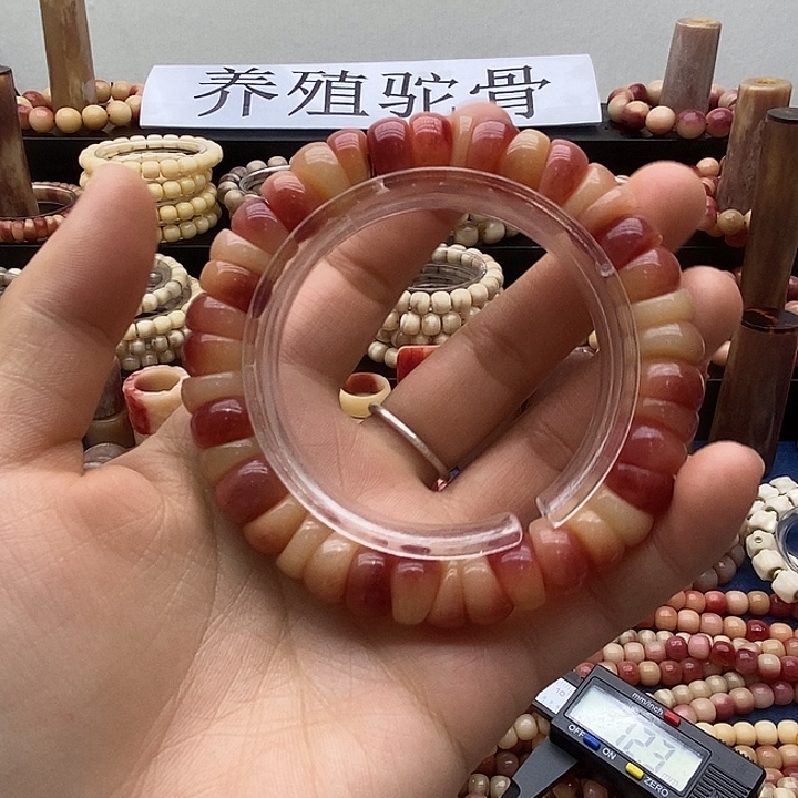 驼骨手串/手链大肠12