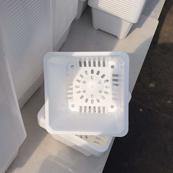 160白方口15高10一组20个