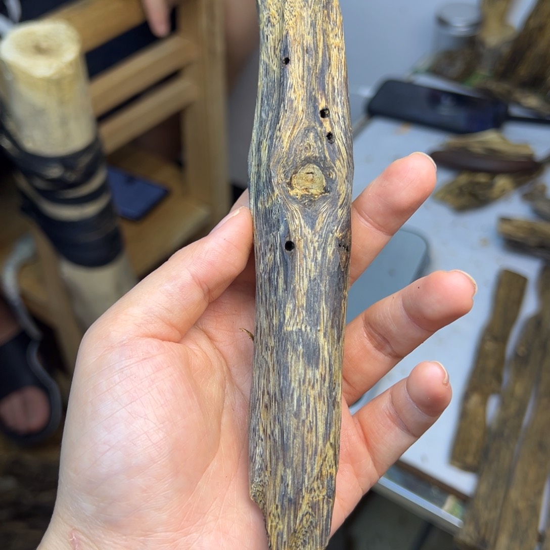 线香奇楠虫漏香45克